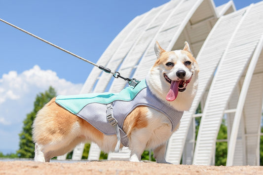 Cooling Dog Vest
